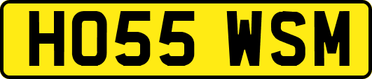 HO55WSM