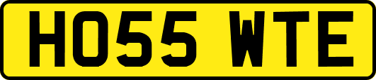 HO55WTE