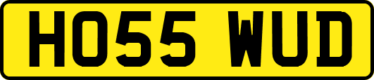 HO55WUD