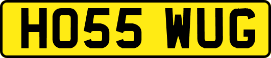 HO55WUG