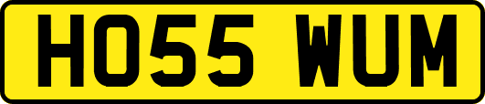 HO55WUM