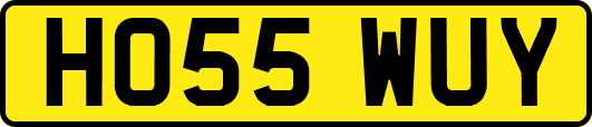 HO55WUY