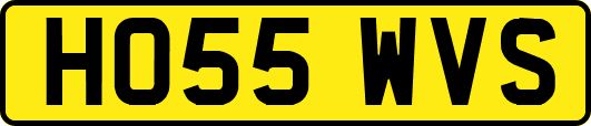 HO55WVS