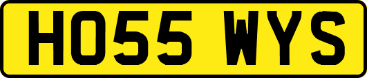 HO55WYS