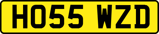 HO55WZD
