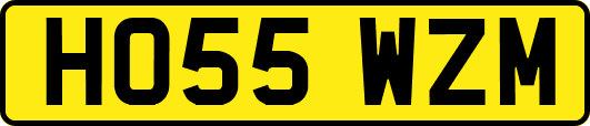 HO55WZM
