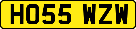 HO55WZW