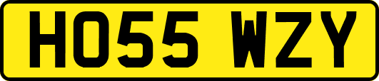 HO55WZY