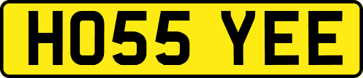 HO55YEE
