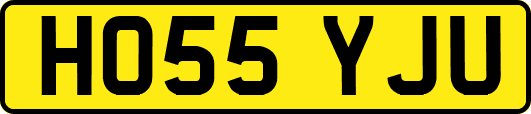 HO55YJU