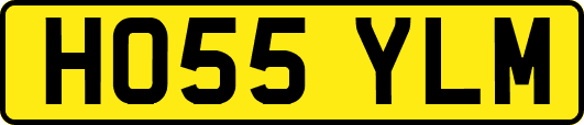 HO55YLM