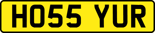HO55YUR