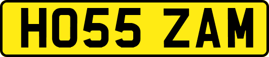 HO55ZAM