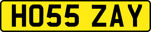 HO55ZAY