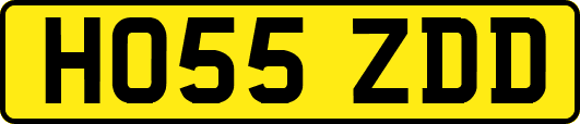 HO55ZDD