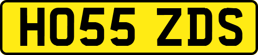 HO55ZDS