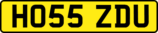 HO55ZDU