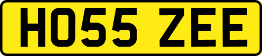 HO55ZEE