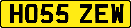 HO55ZEW