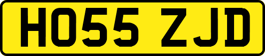HO55ZJD
