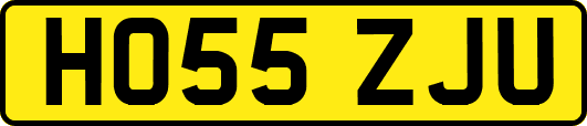 HO55ZJU