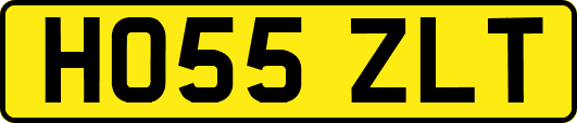 HO55ZLT