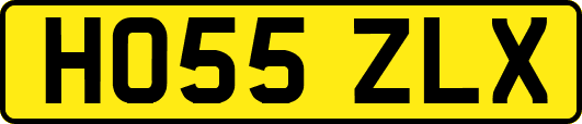 HO55ZLX