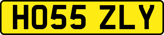 HO55ZLY