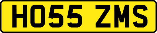 HO55ZMS