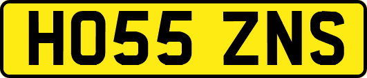 HO55ZNS