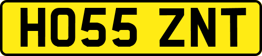 HO55ZNT