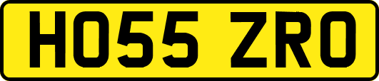 HO55ZRO