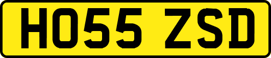 HO55ZSD