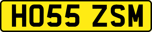 HO55ZSM
