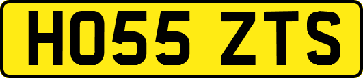 HO55ZTS