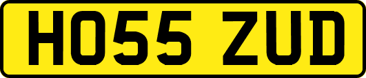 HO55ZUD