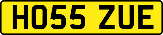 HO55ZUE