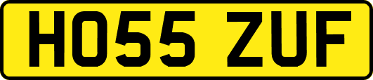 HO55ZUF