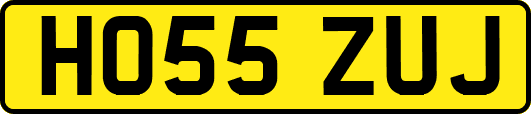 HO55ZUJ