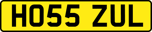 HO55ZUL