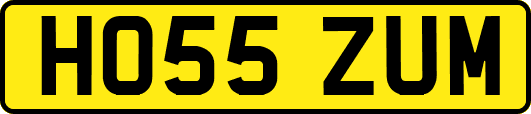 HO55ZUM
