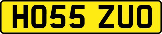 HO55ZUO