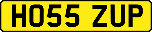 HO55ZUP