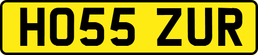 HO55ZUR