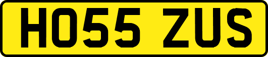 HO55ZUS