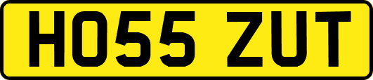 HO55ZUT