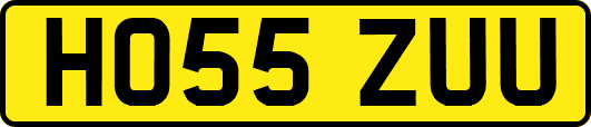 HO55ZUU