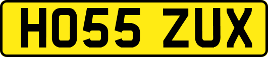HO55ZUX
