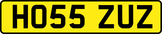 HO55ZUZ