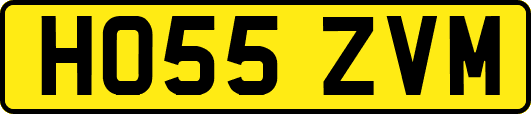 HO55ZVM
